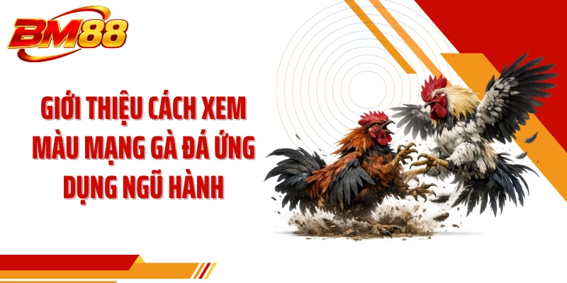 Giới thiệu cách xem màu mạng gà đá ứng dụng Ngũ Hành